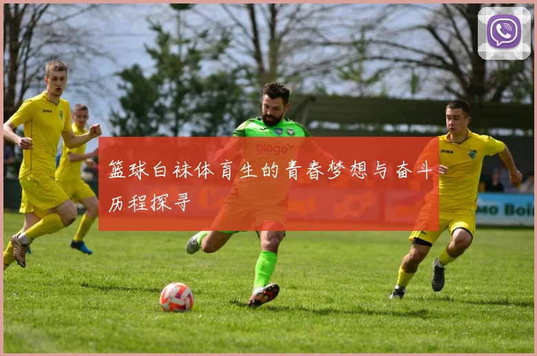 篮球白袜体育生的青春梦想与奋斗历程探寻