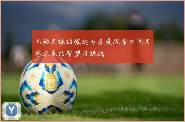 毛勋足球的崛起与发展探索中国足球未来的希望与挑战