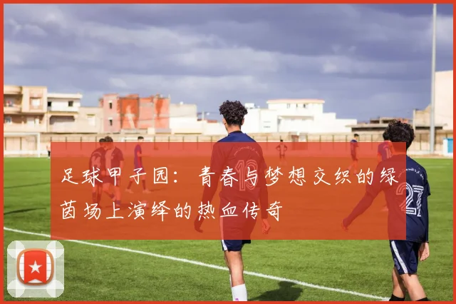 足球甲子园：青春与梦想交织的绿茵场上演绎的热血传奇
