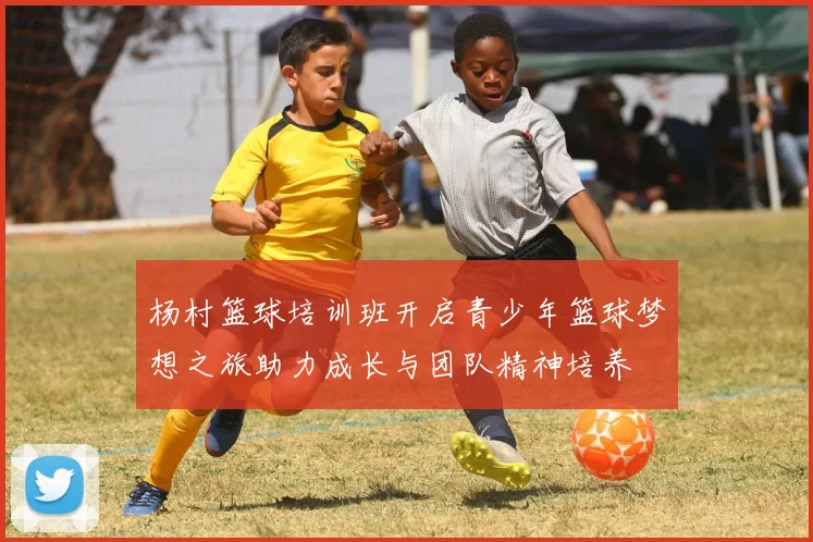 杨村篮球培训班开启青少年篮球梦想之旅助力成长与团队精神培养