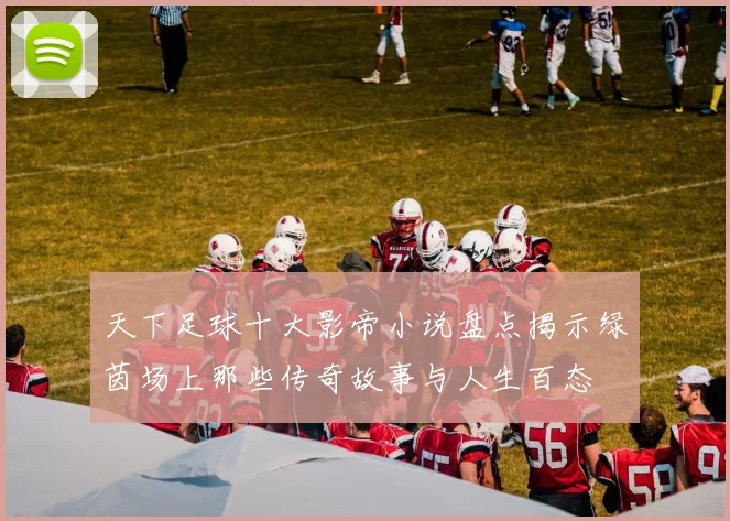 天下足球十大影帝小说盘点揭示绿茵场上那些传奇故事与人生百态