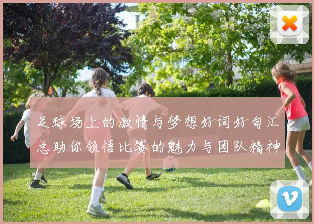 足球场上的激情与梦想好词好句汇总助你领悟比赛的魅力与团队精神