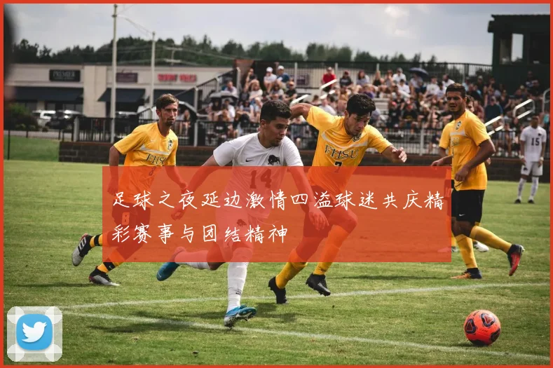 足球之夜延边激情四溢球迷共庆精彩赛事与团结精神