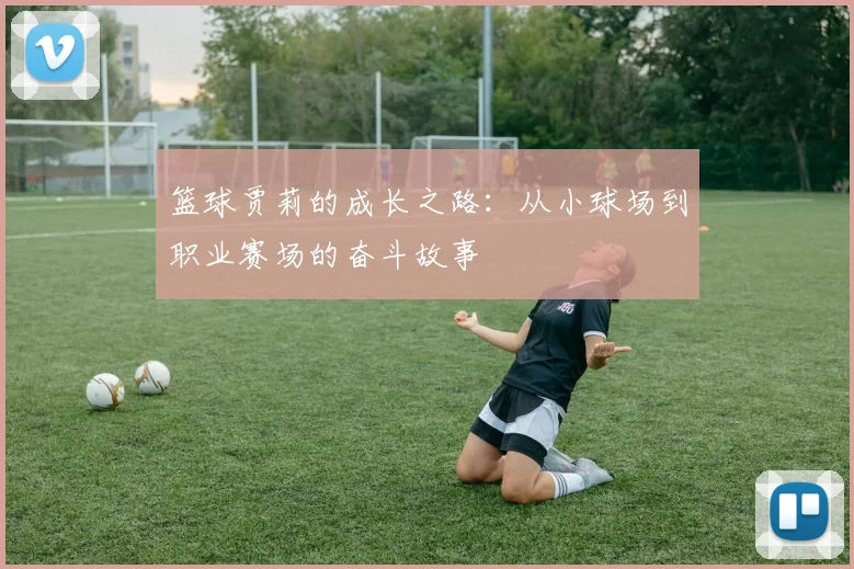 篮球贾莉的成长之路：从小球场到职业赛场的奋斗故事