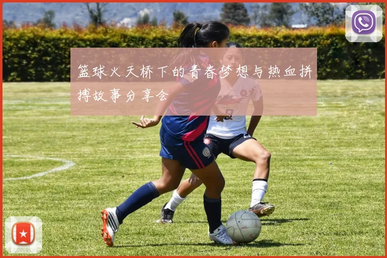 篮球火天桥下的青春梦想与热血拼搏故事分享会