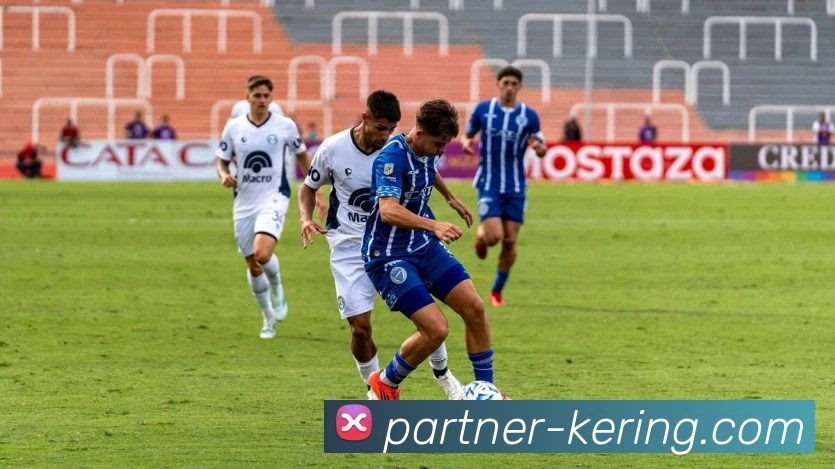 开云体育平台平台生态图